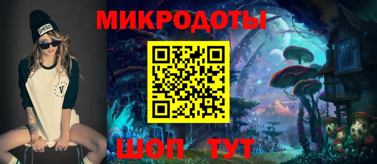 Псилоцибиновые грибы мицелий Великий Новгород